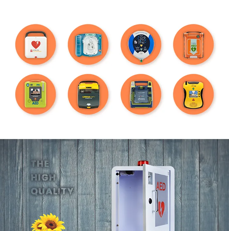 Wap Branded M2b Customize Logo Defibrillator Aed Wall Mount Cabinet for First Aid Use