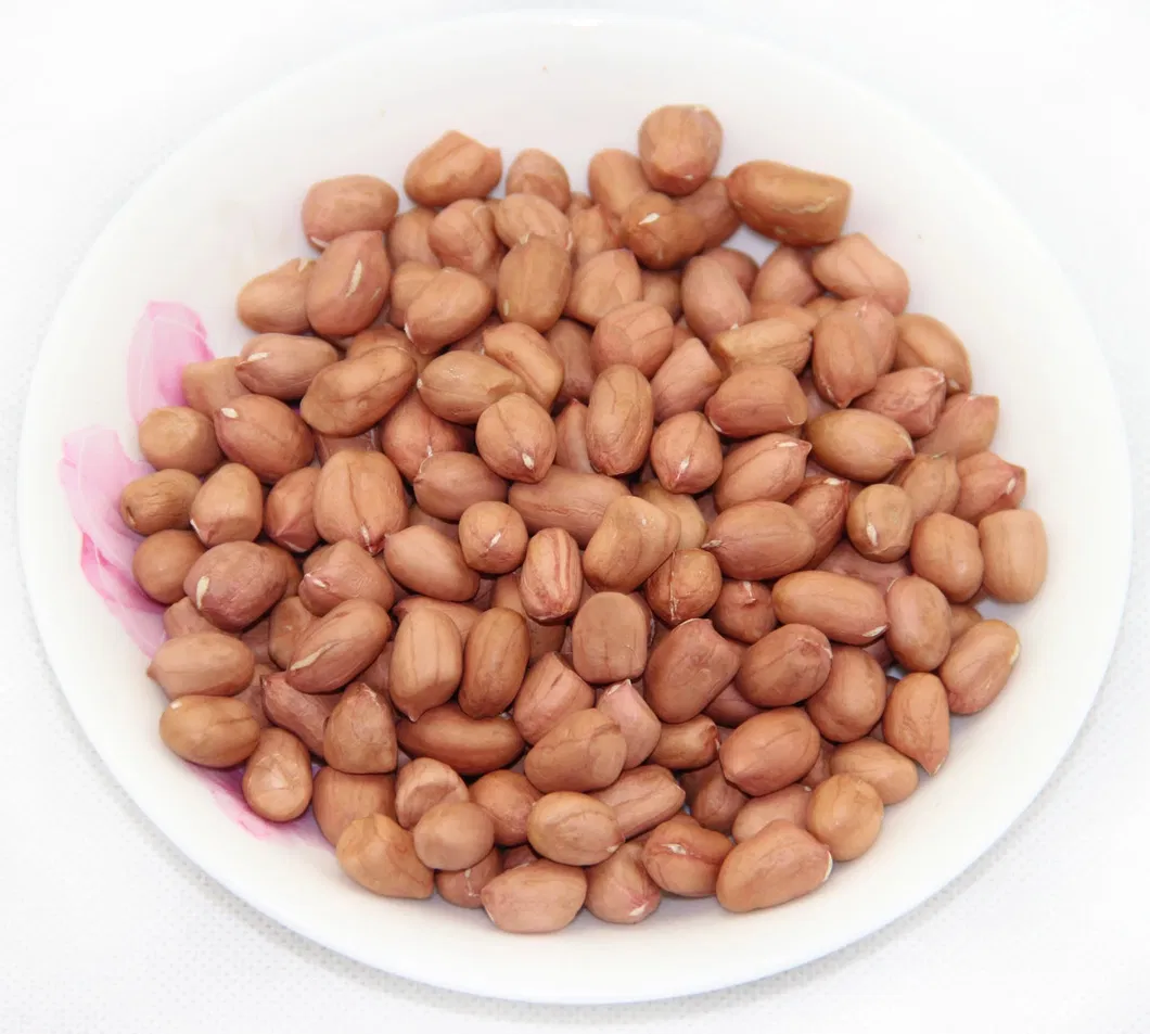 Canned Peanut Braised Tin Packed 567g