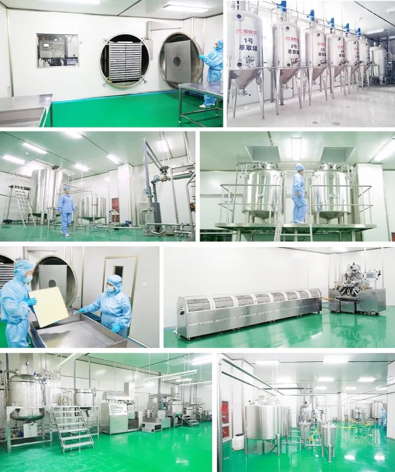 Beehall Bee Products Supplier Competitive Price Wholesale Royal Jelly Honey