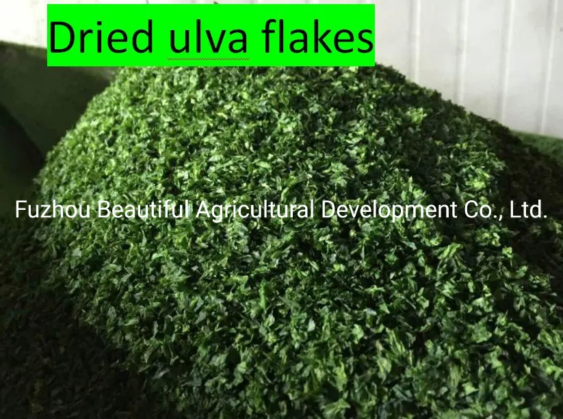 Factory Price Natural Seaweed Healthy Food Machine Dried Laminaria Strip