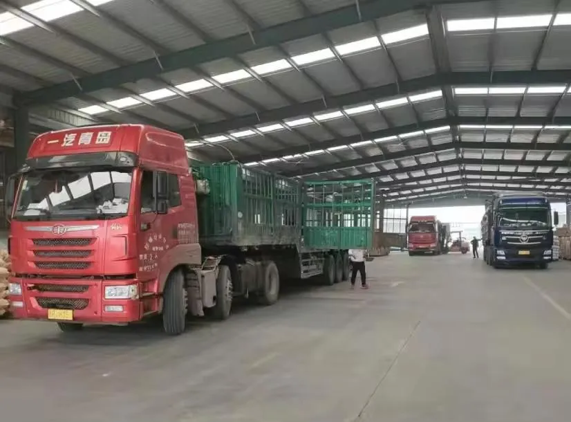 Food Grade Non Dairy Powder Used in Soft Ice Cream Premix Powder