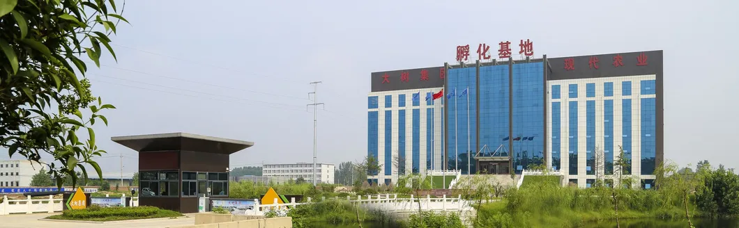 Food Grade Non Dairy Powder Used in Soft Ice Cream Premix Powder