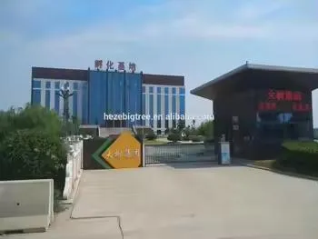 Food Grade Non Dairy Powder Used in Soft Ice Cream Premix Powder