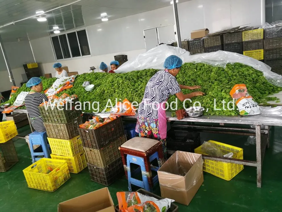 China Wholesale Dried Fruits Price Dry Kiwi Sliced Shape Kiwi