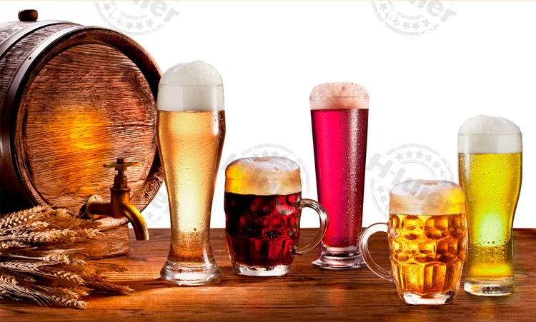 Custom Craft Beer Lager Wheat Beer Stout with HACCP Certificate China Brands Beer in Cans with Reasonable Price