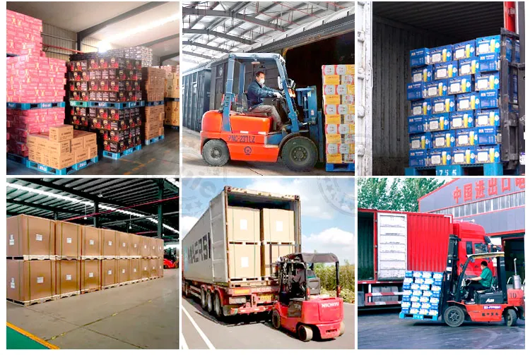 Custom Craft Beer Lager Wheat Beer Stout with HACCP Certificate China Brands Beer in Cans with Reasonable Price