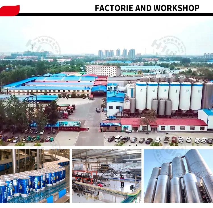 Custom Craft Beer Lager Wheat Beer Stout with HACCP Certificate China Brands Beer in Cans with Reasonable Price