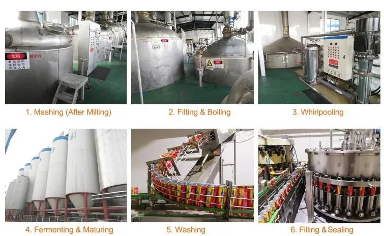 Custom Craft Beer Lager Wheat Beer Stout with HACCP Certificate China Brands Beer in Cans with Reasonable Price