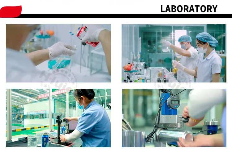 Custom Craft Beer Lager Wheat Beer Stout with HACCP Certificate China Brands Beer in Cans with Reasonable Price