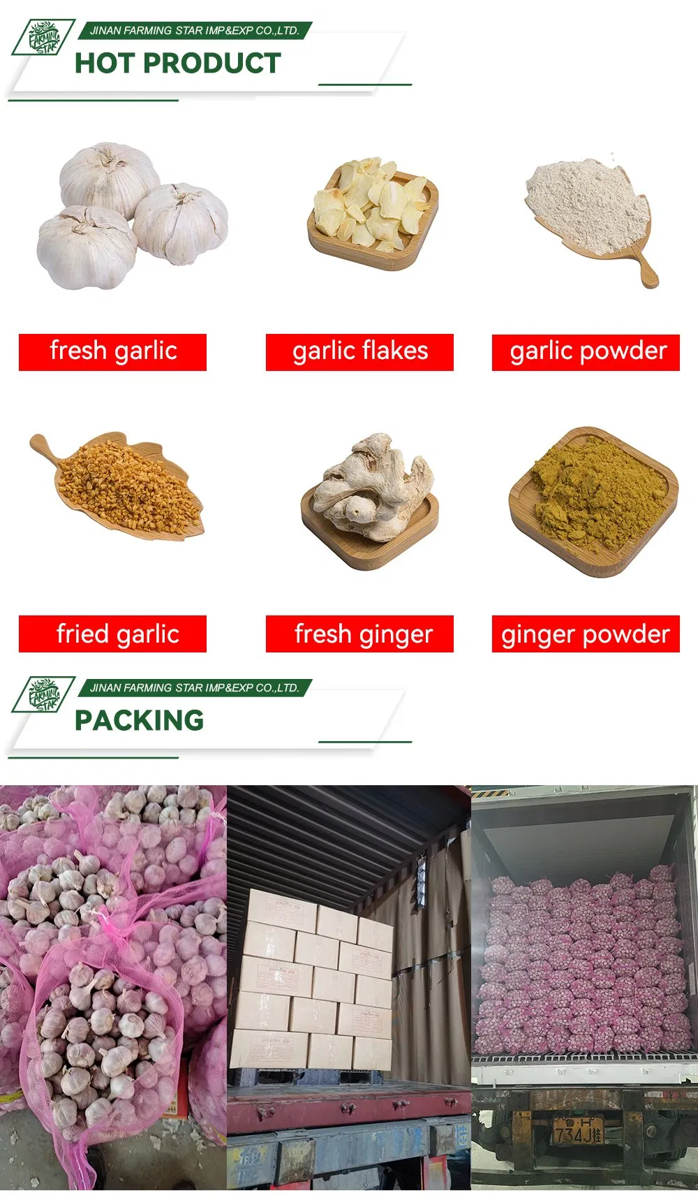 2025 New Crop Origin Chinese Pure White Garlic