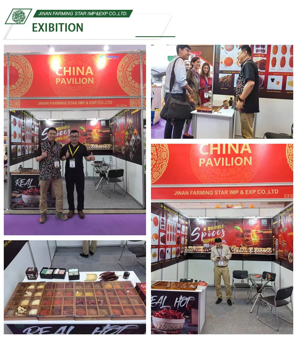 2025 New Crop Origin Chinese Pure White Garlic