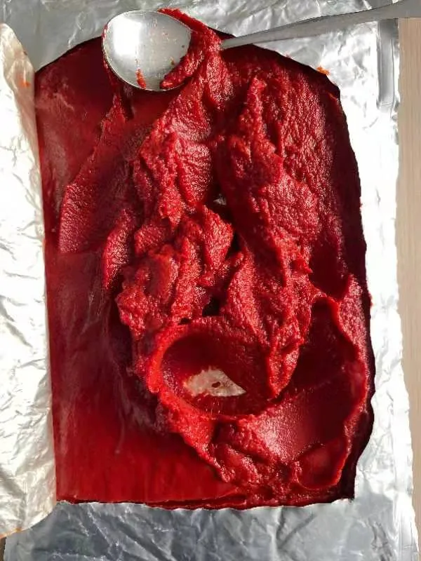 Tomato Paste Sauce Ketchup Brix 36-38%, 28-30%CB & 28-30%Hb