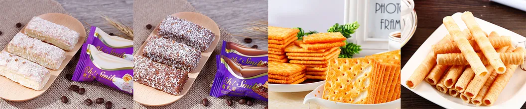 High Quality 430g Cream Cracker Soda Cracker Snack Food Cream Cracker