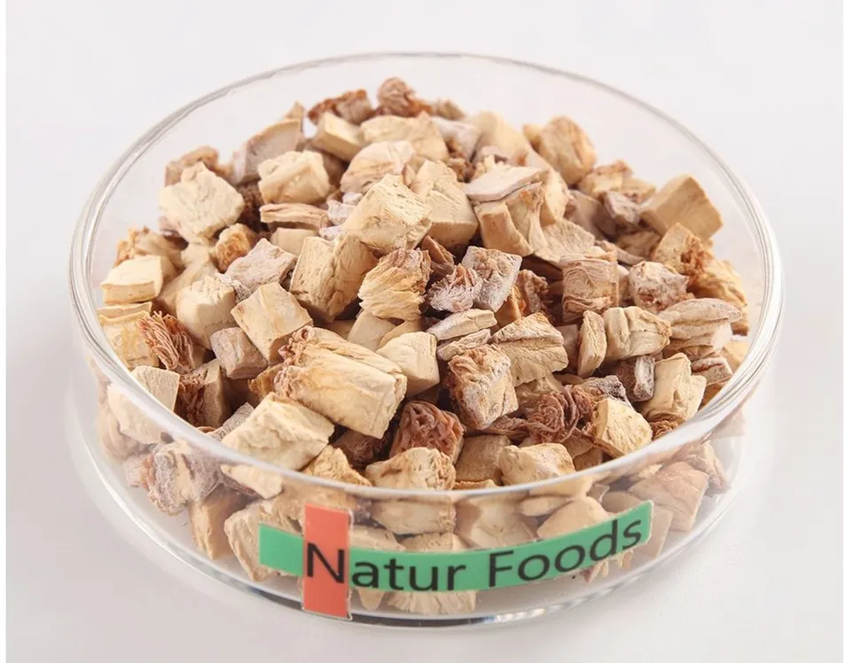 High Purity Lion's Mane Mushroom Granules - Bulk Factory Supply