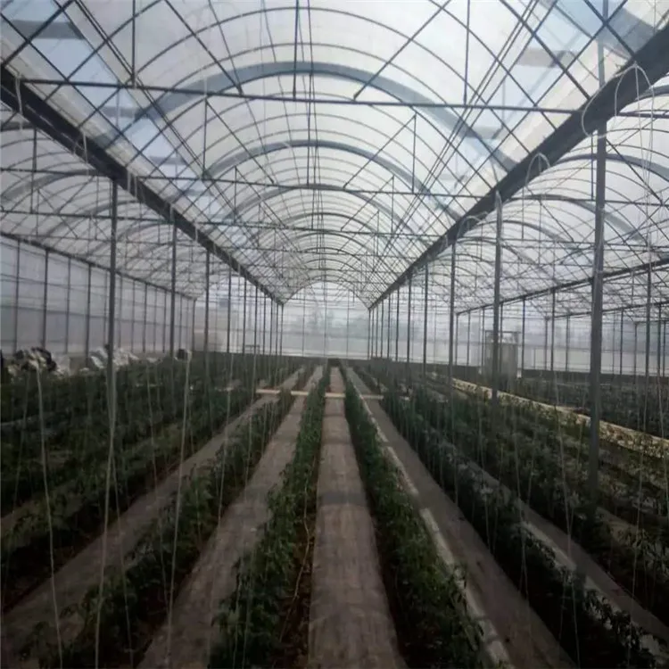 Multipurpose Sturdy Good Quality Hot-DIP Galvanized Steel Pipes Multi-Span Film Greenhouse