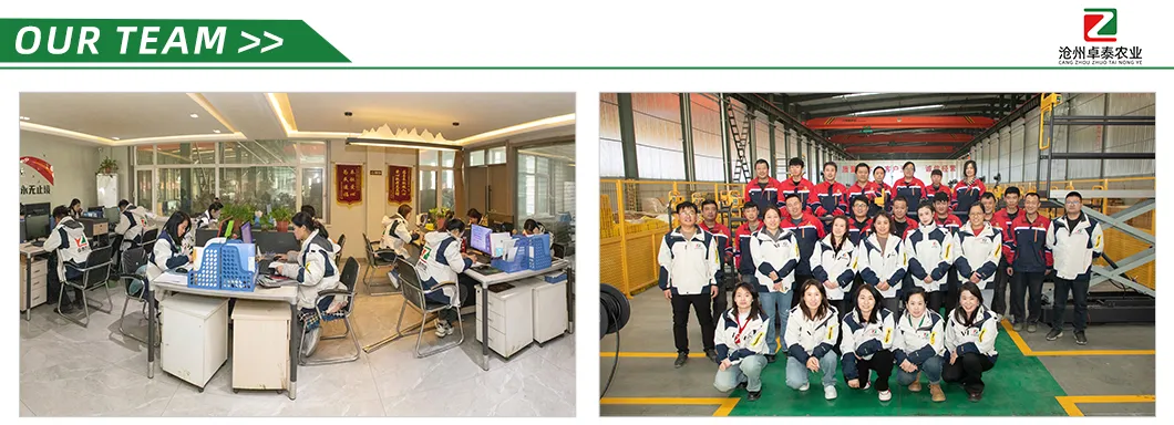 Wholesale Strong High Performance Durable Steel Structure Greenhouse with Side Ventilation