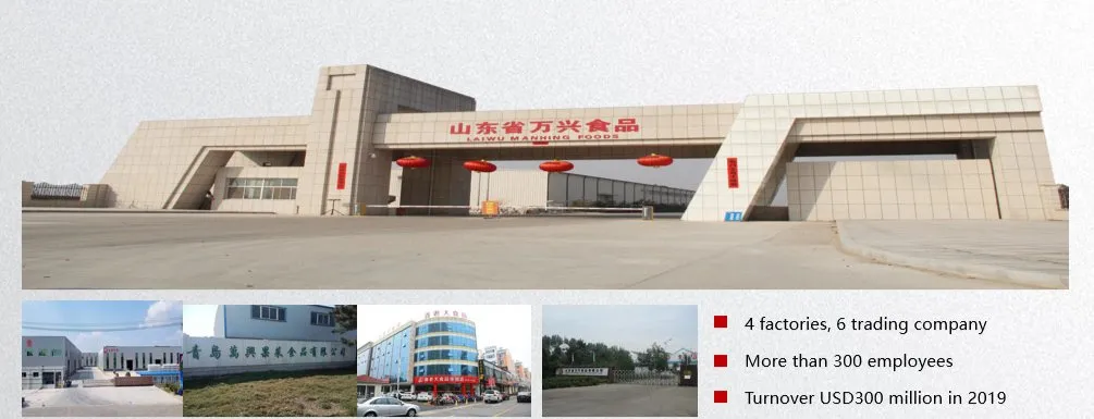 New Crop Air Dried Ginger Dehydrated Ginger Flakes Powder Whole