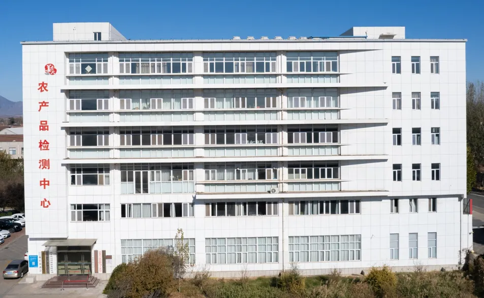 New Crop Air Dried Ginger Dehydrated Ginger Flakes Powder Whole