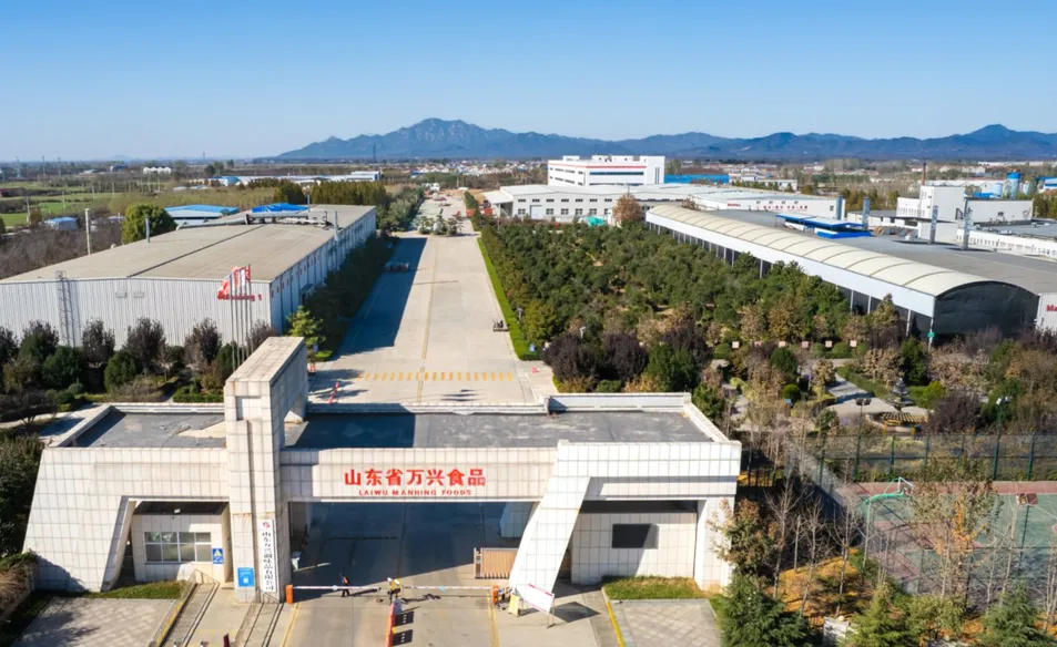 New Crop Air Dried Ginger Dehydrated Ginger Flakes Powder Whole