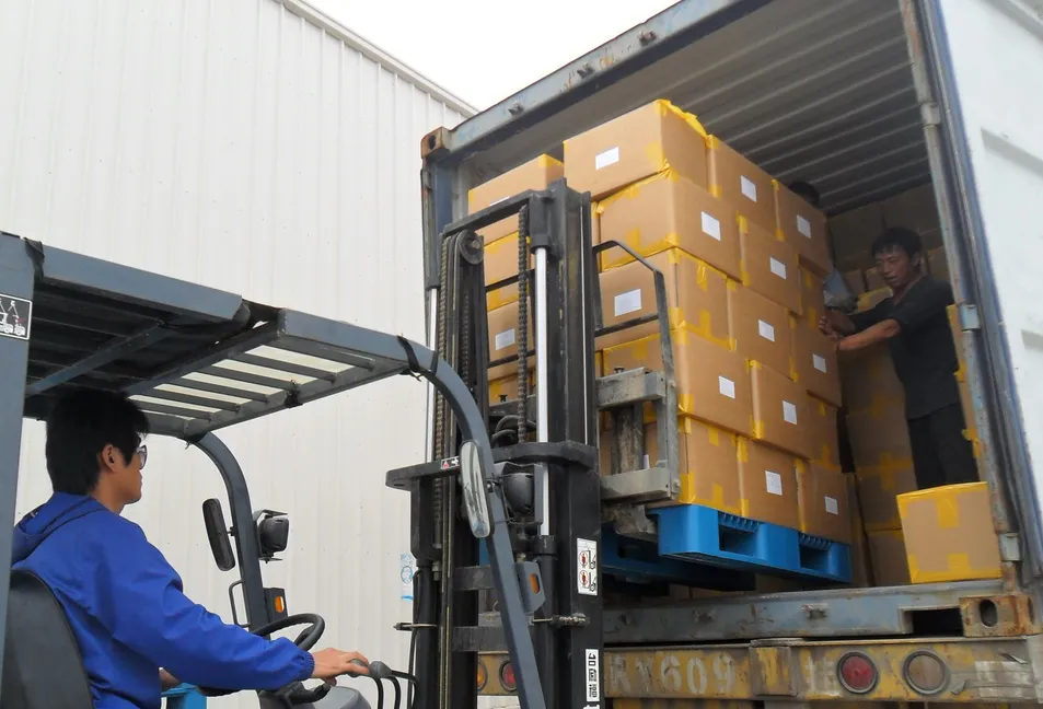 New Crop Air Dried Ginger Dehydrated Ginger Flakes Powder Whole