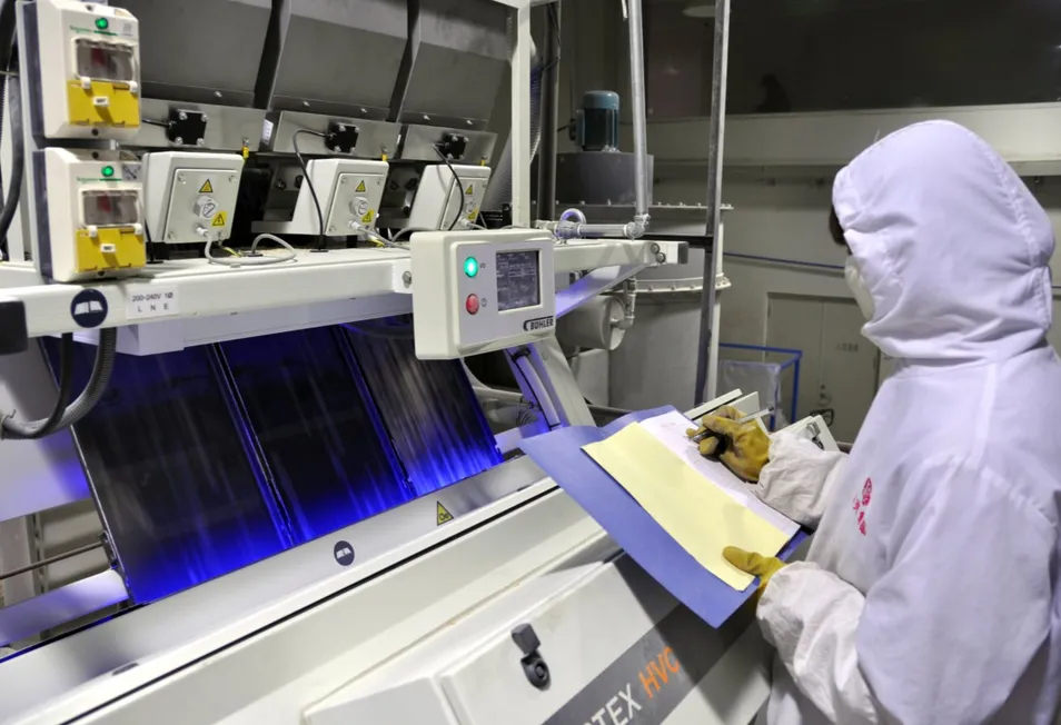 New Crop Air Dried Ginger Dehydrated Ginger Flakes Powder Whole