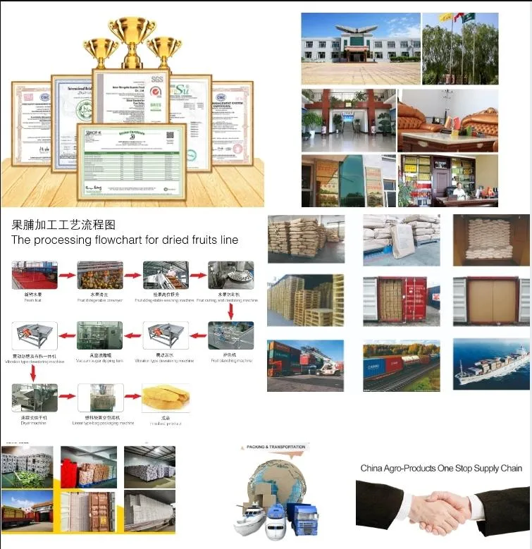 2024 Chinese Preserves Healthy Food Sweet Dried Mango Slices