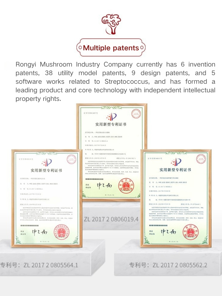 Authentic Chinese Sparassis Crispa Dried Mushrooms for Gourmet Cooking 100g/150g