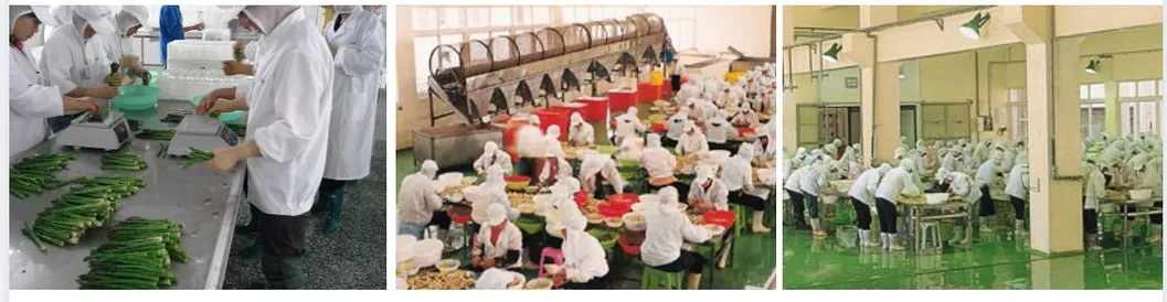 Fast Cooking Bulk Soup Instant Noodles Chicken Flavour Wholesale Different Tastes