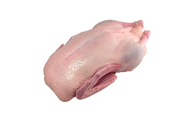 Premium Halal Frozen Duck Griller for Worldwide Distribution