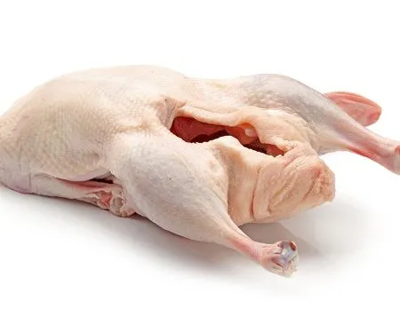 Premium Halal Frozen Duck Griller for Worldwide Distribution