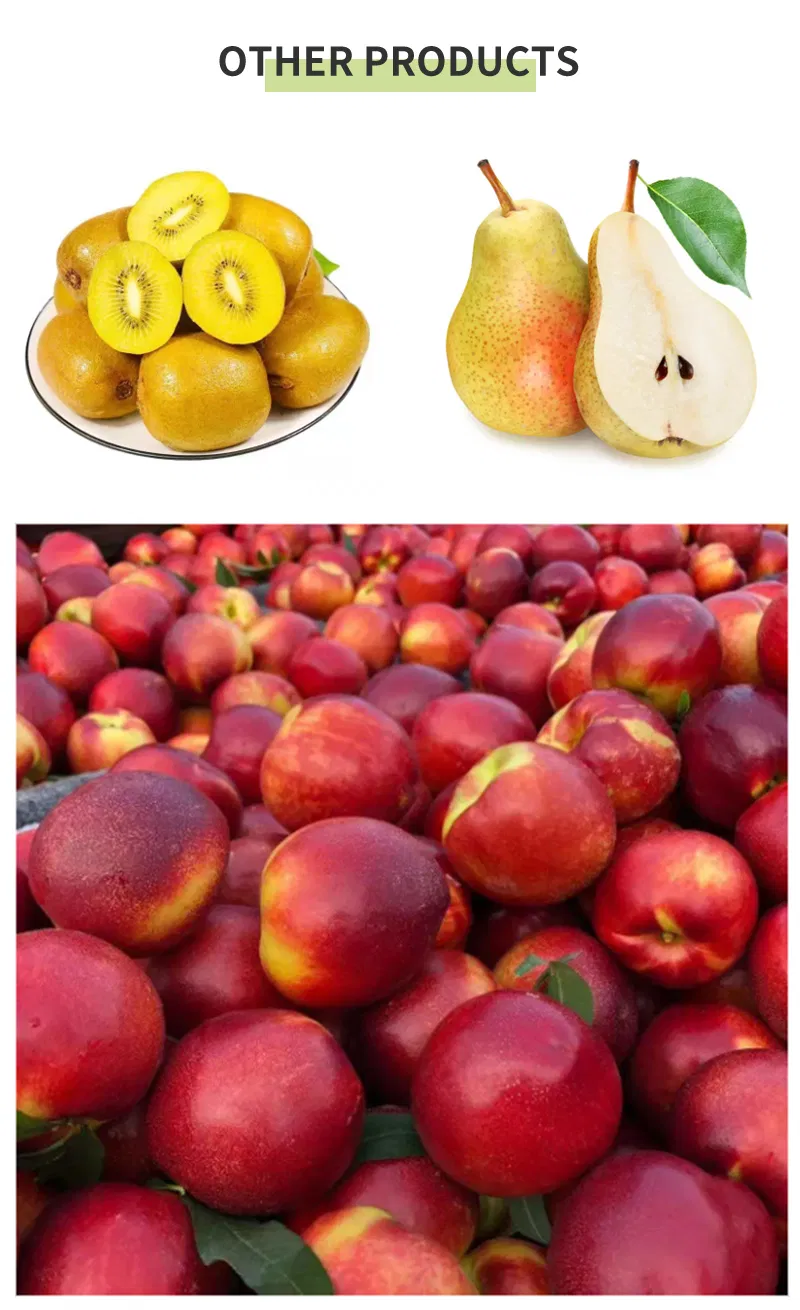 Pure Organic Vietnamese Plum Harvest 100% Natural Cultivation Type