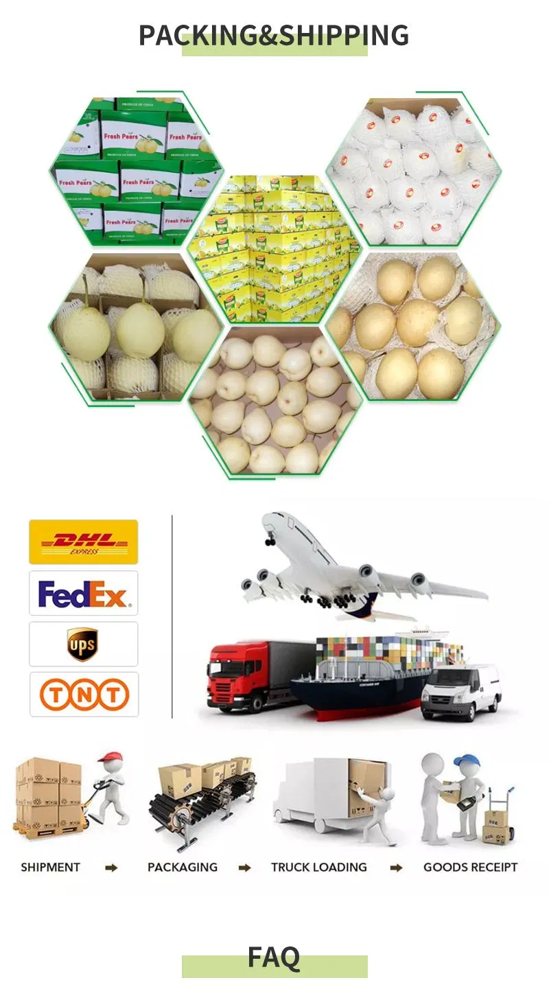 Pure Organic Vietnamese Plum Harvest 100% Natural Cultivation Type