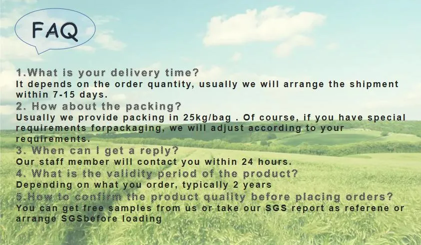 High Quality Natural Seaweed Powder for Increasing Animal Production Performance