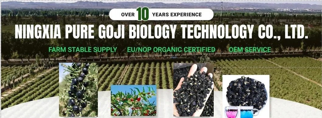 Wholesale Bulk Organic Black Goji Berries 100% Natural Sun-Dried High Anthocyanin Superfood