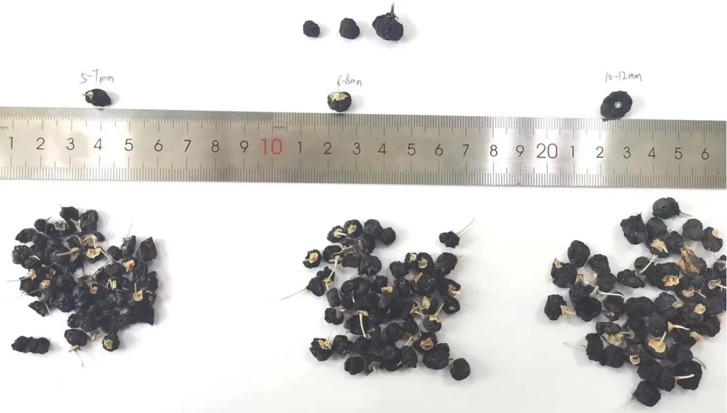 Wholesale Bulk Organic Black Goji Berries 100% Natural Sun-Dried High Anthocyanin Superfood