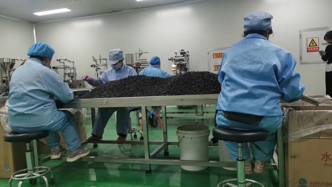 Wholesale Bulk Organic Black Goji Berries 100% Natural Sun-Dried High Anthocyanin Superfood