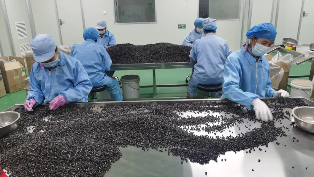 Wholesale Bulk Organic Black Goji Berries 100% Natural Sun-Dried High Anthocyanin Superfood