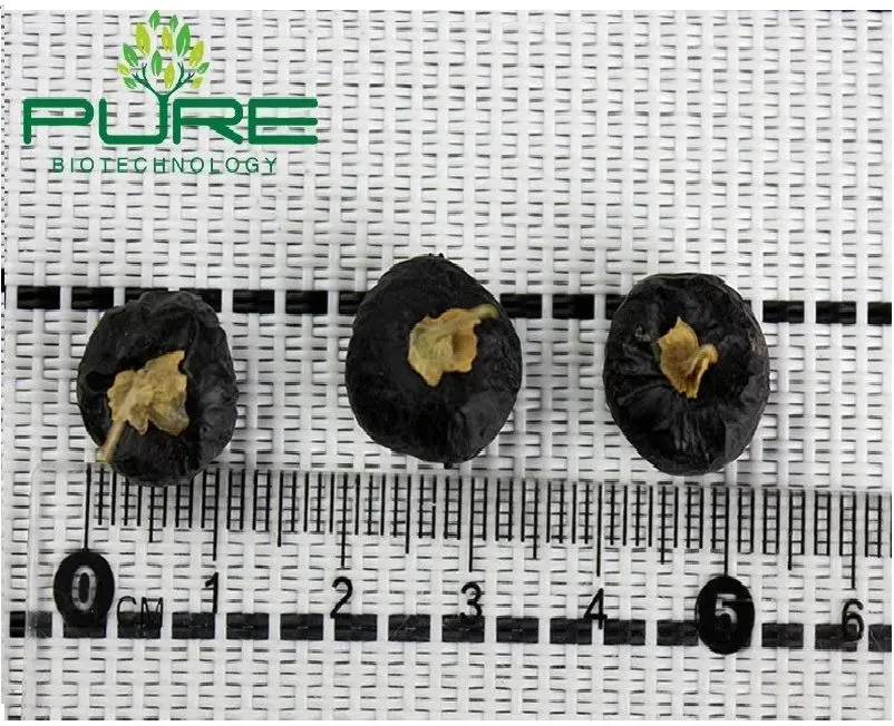 Wholesale Bulk Organic Black Goji Berries 100% Natural Sun-Dried High Anthocyanin Superfood