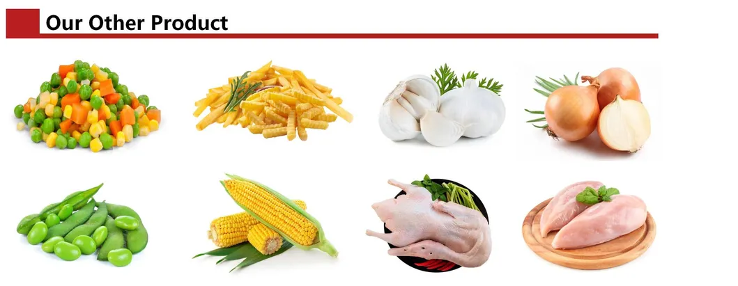 Premium Halal Frozen Shredded Chicken for Global Cuisine