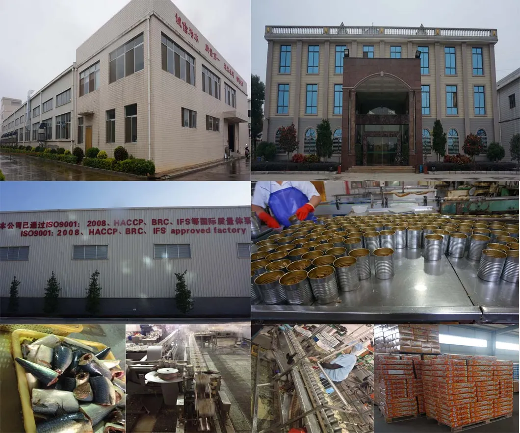 Canned Food Products Hot Sale Canned Mixed Vegetables in Brine