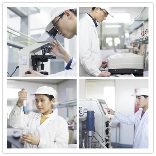 Local, Organic and Non-GMO Resistant Dextrin Soluble Fibers