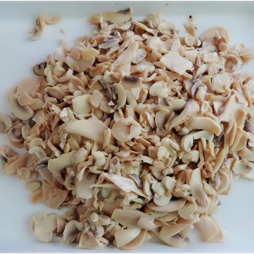 Storage-Resistant Hand-Picked King Oyster OEM Canned Mushroom for Hotel Kitchens