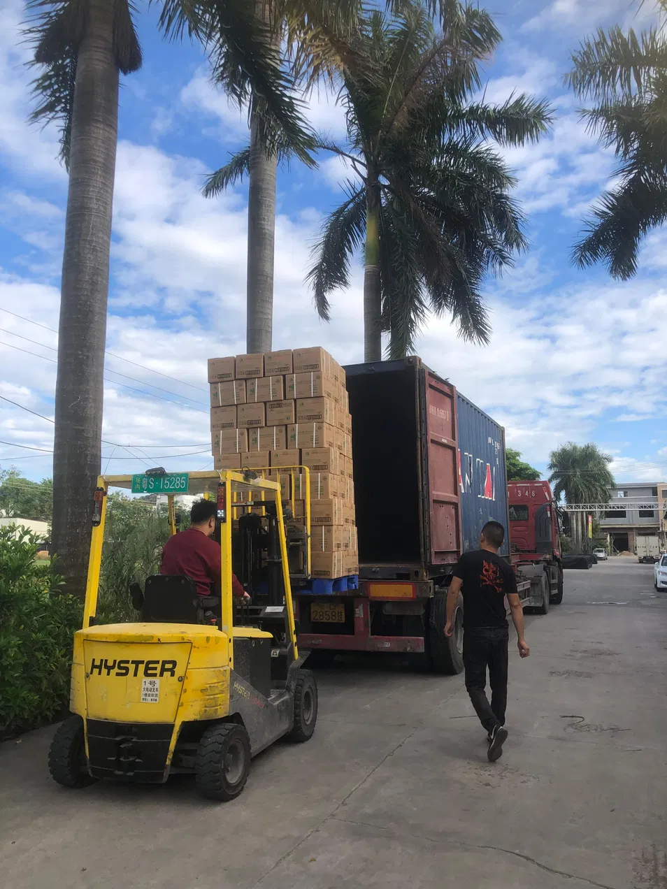 Konjac Jelly with Lactic Acid Bacteria Candy Fruit Flavor Jelly