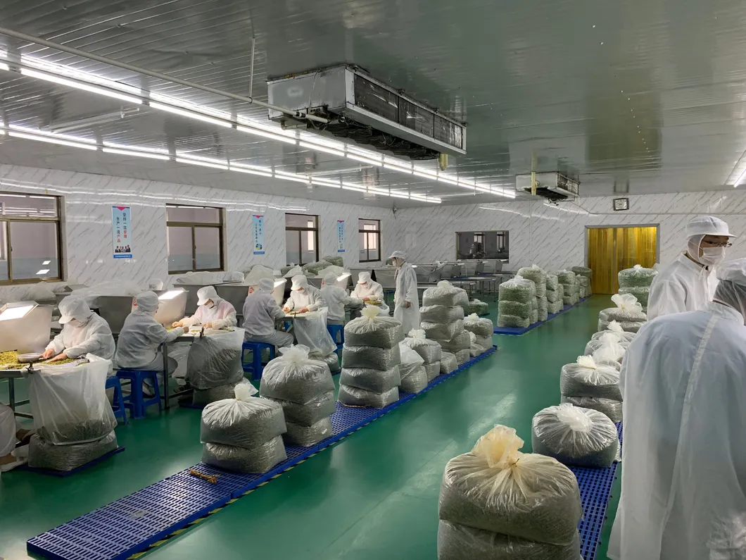 Freeze Dried Fruit Hot Sell Freeze Dried Apple Flakes