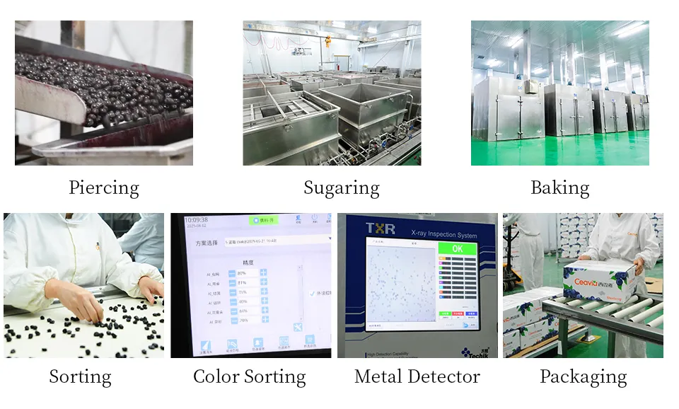 China Origin Wholesale Price Hot Sale Dry Fruits Blueberry