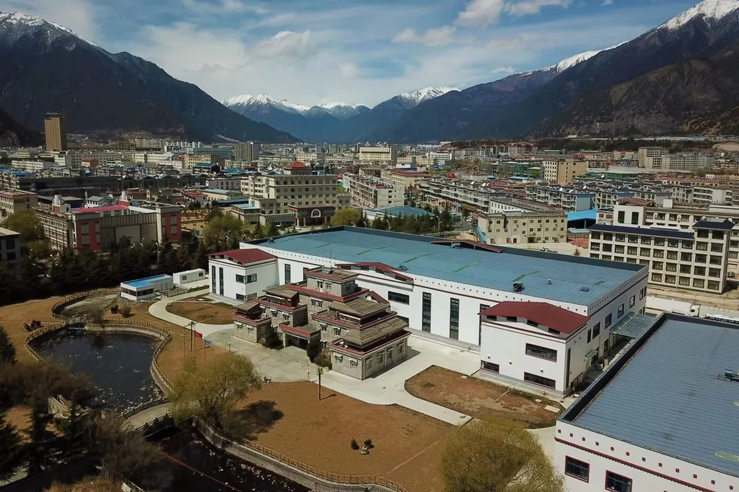 Xizang Highland Barley Grass Powder Meal Replacement - High Fiber, Low Gi, Natural Energy Boost