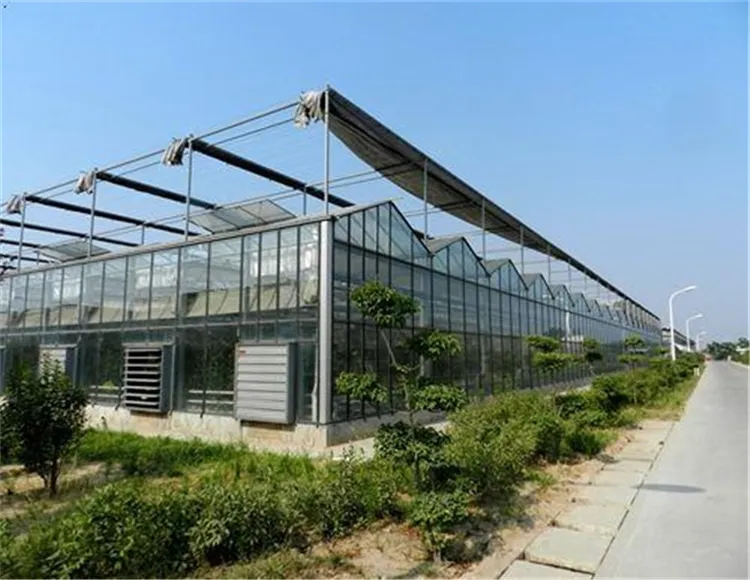 China Factory Price Professional Glass Greenhouse