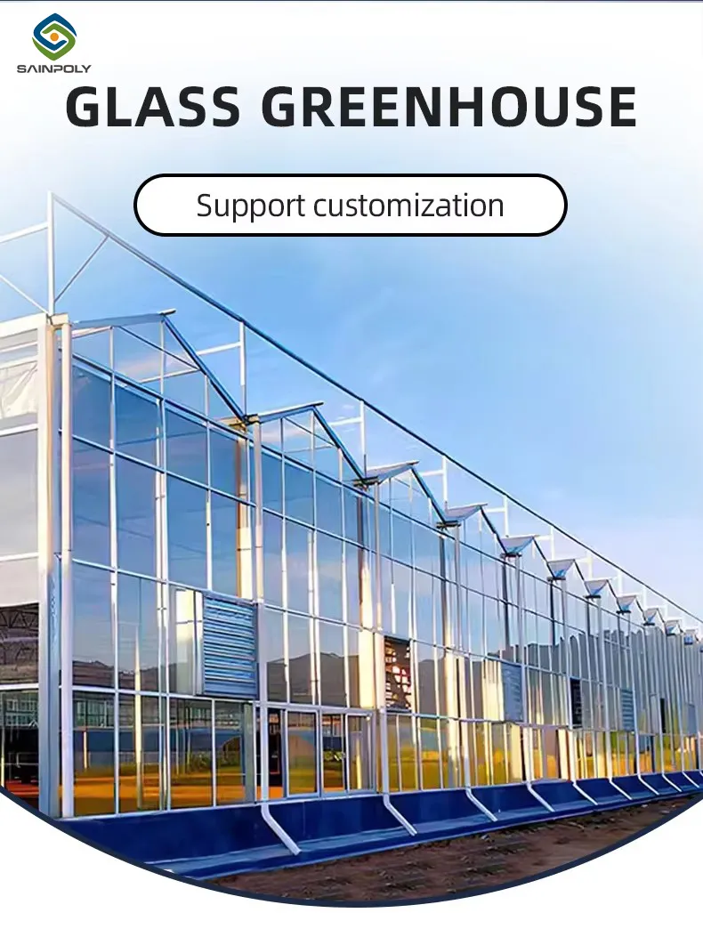 China Factory Price Professional Glass Greenhouse