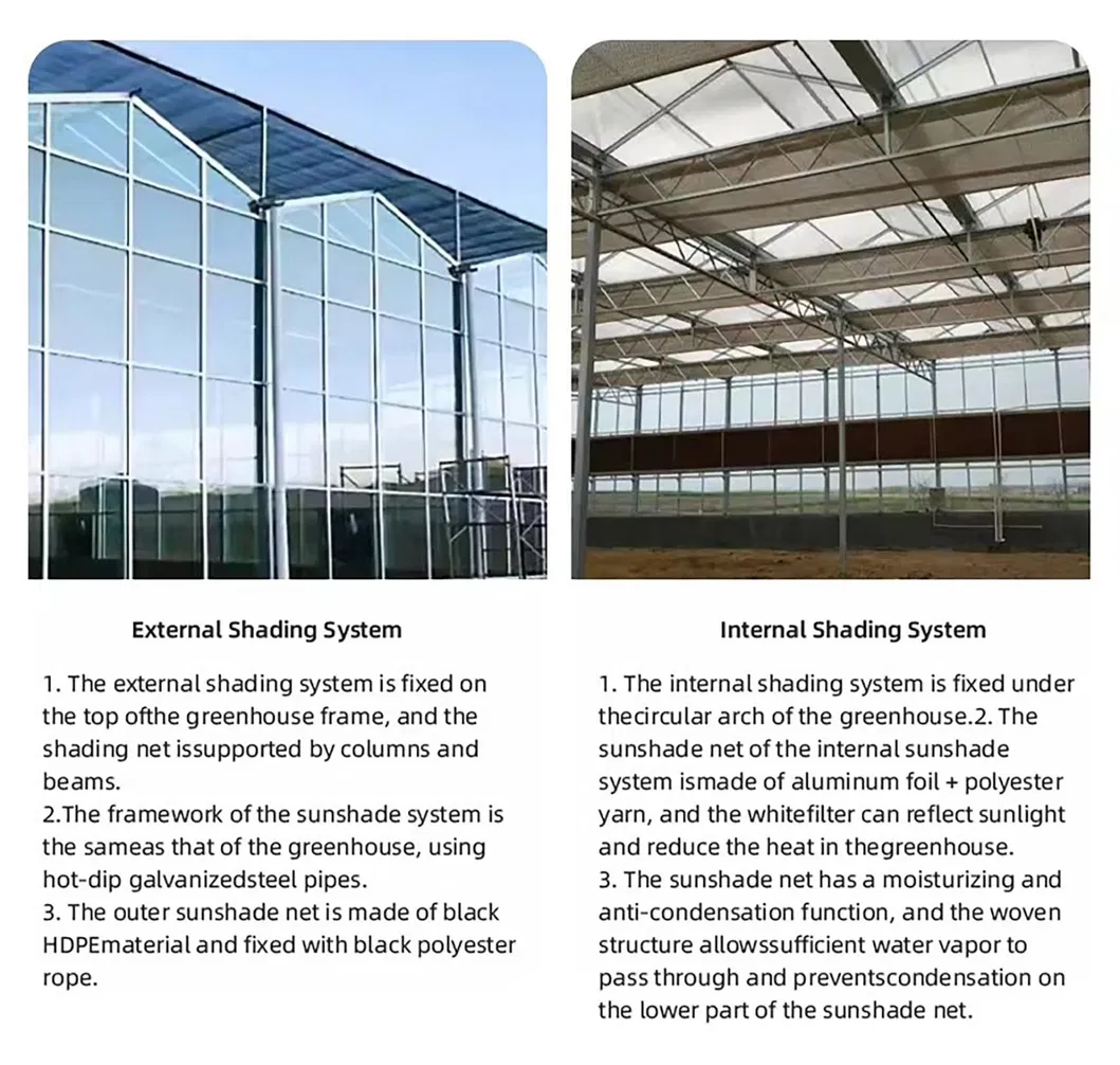 China Factory Price Professional Glass Greenhouse