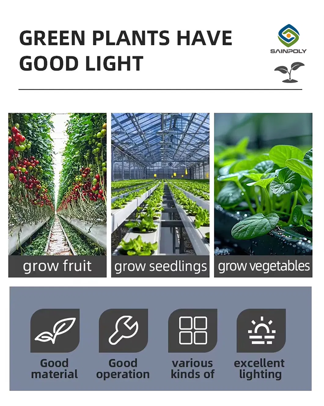 China Factory Price Professional Glass Greenhouse